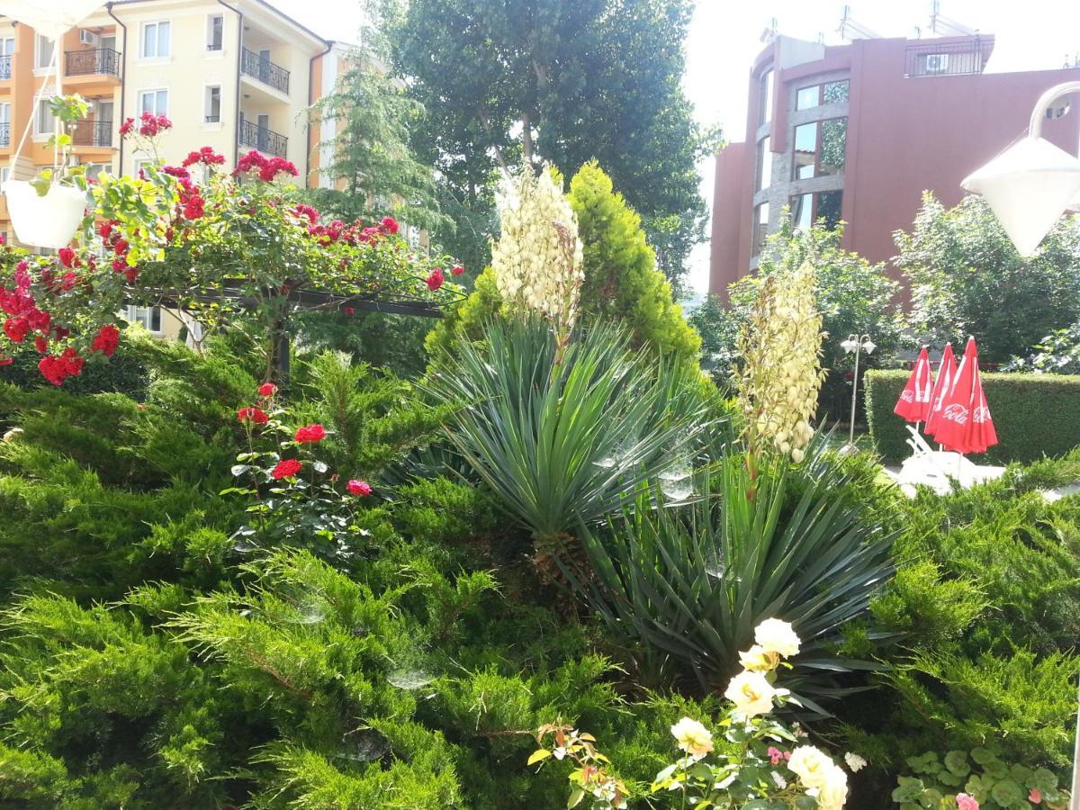 Deva Hotel Sunny Beach